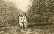 Apple Blossom 1925, Quakers in the "wilderness"